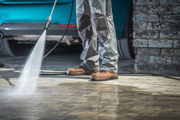 Best Paint Preparation  in Lealman, FL