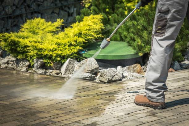 Best Fence Cleaning  in Lealman, FL