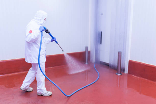 Best Warehouse Cleaning  in Lealman, FL