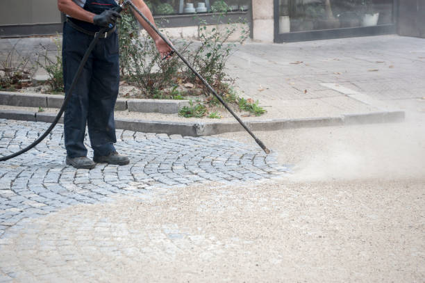 Best Restaurant Pressure Washing  in Lealman, FL