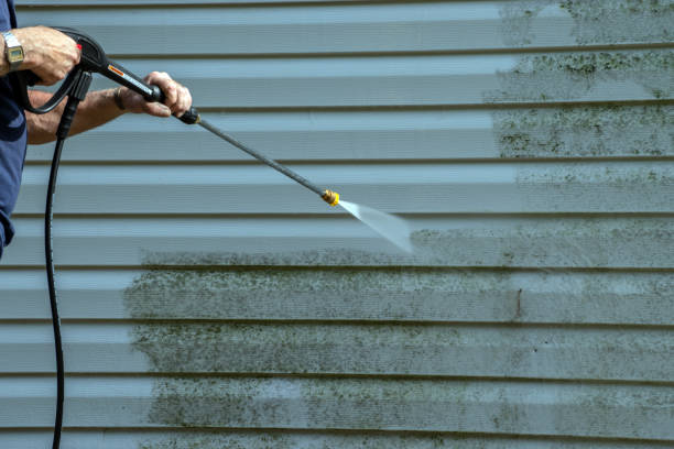 Best Building Exterior Washing  in Lealman, FL
