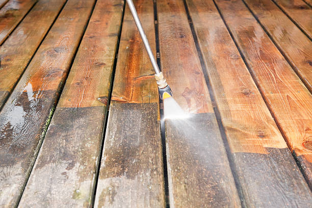 Best Building Exterior Washing  in Lealman, FL